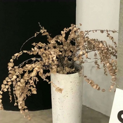 弥勒福瑞交流群